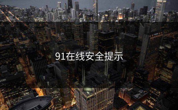 91在线安全提示