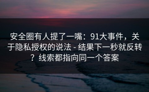 安全圈有人提了一嘴：91大事件，关于隐私授权的说法 - 结果下一秒就反转？线索都指向同一个答案