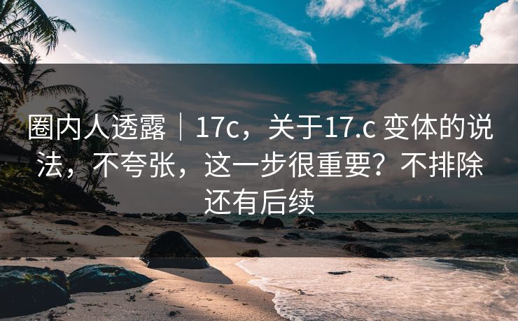 圈内人透露｜17c，关于17.c 变体的说法，不夸张，这一步很重要？不排除还有后续
